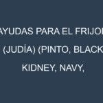Ayudas para el Frijol (judía) (Pinto, Black, Kidney, Navy, Cannellini). Ayudas para el cultivo. Subvenciones.