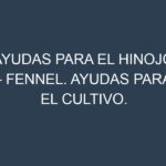 Ayudas para el Hinojo – Fennel. Ayudas para el cultivo. Subvenciones.
