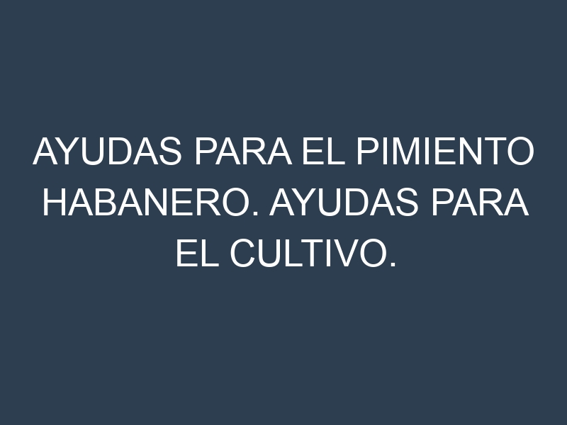 Ayudas para el Pimiento habanero. Ayudas para el cultivo. Subvenciones.