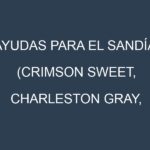 Ayudas para el Sandía (Crimson Sweet, Charleston Gray, Jubilee, Sugar Baby, Seedless). Ayudas para el cultivo. Subvenciones.