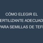 Cómo Elegir el Fertilizante Adecuado para Semillas de teff