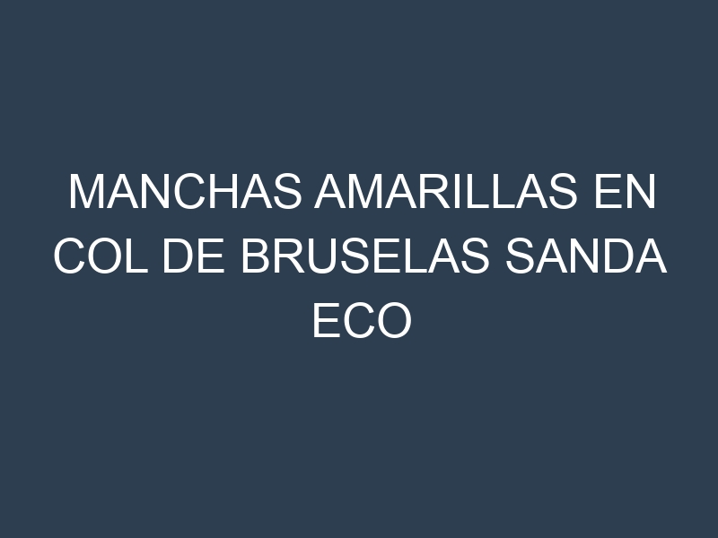 Manchas Amarillas en Col De Bruselas Sanda Eco