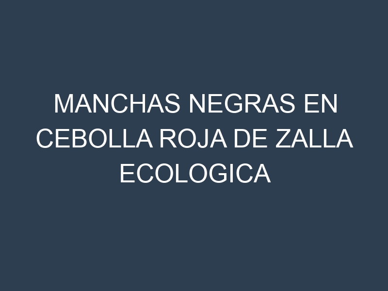 Manchas Negras en Cebolla Roja De Zalla Ecologica