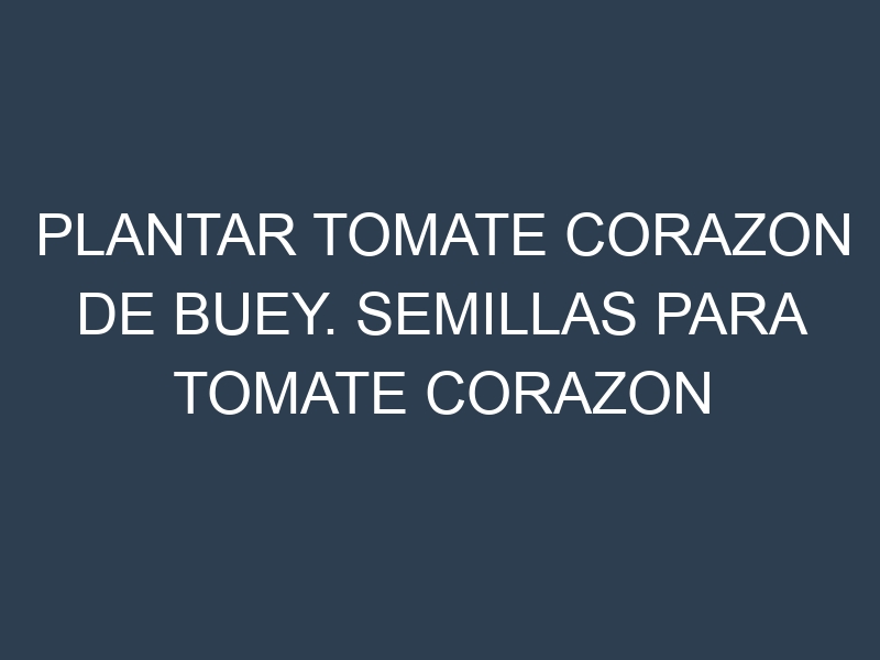 Plantar Tomate Corazon De Buey. Semillas para Tomate Corazon De Buey. Enfermedades Tomate Corazon De Buey.